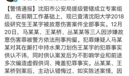 沈阳学生爆料案件最新情况,真相逐步浮出水面