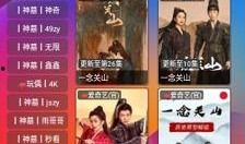 久久视频观看在线视频,畅游在线视频世界的精彩瞬间